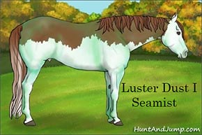 SeamistSmall.jpg