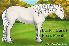 FrostPowderSmall.jpg