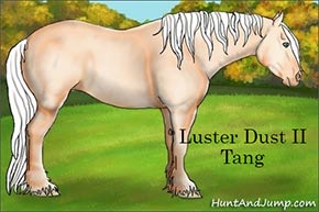 TangSmall.jpg