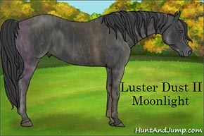 MoonlightSmall.jpg