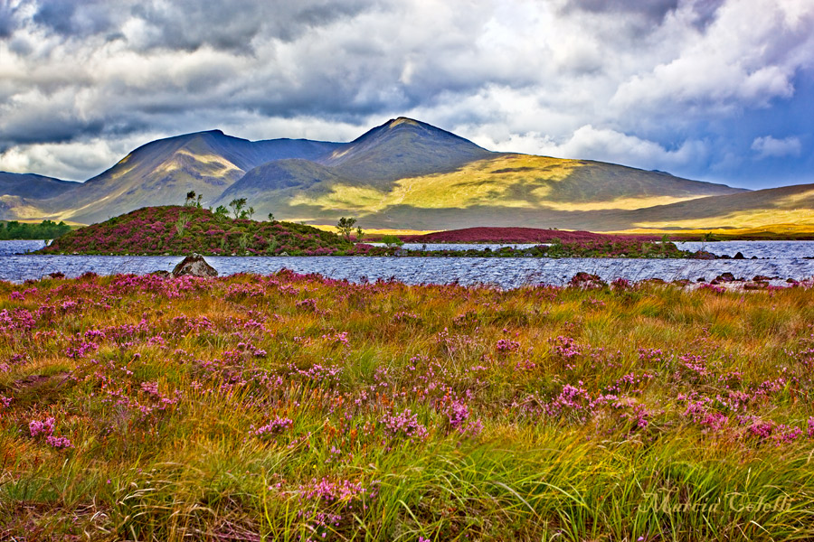 GLENCOE_7338jpg