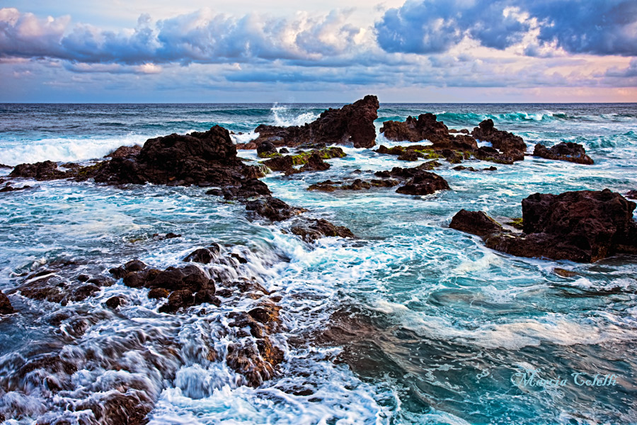 HOOKIPA OUTLOOK, WAKAMAO, MAUI-0815.jpg