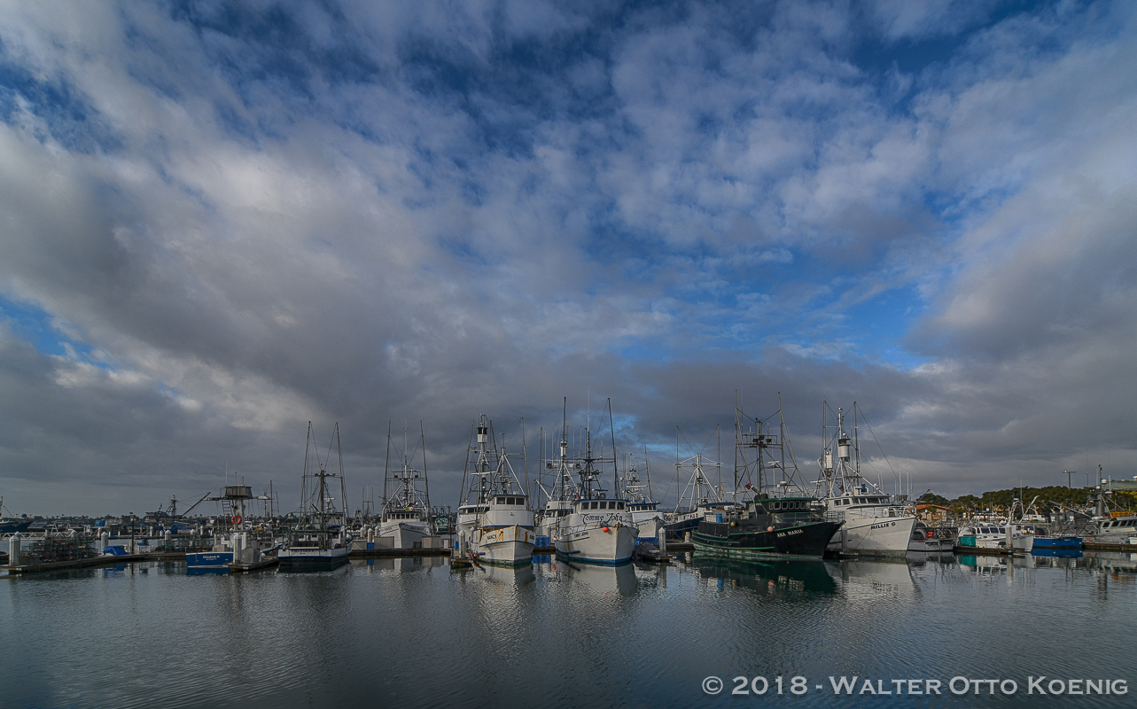 Early Morning Tuna Harbor 