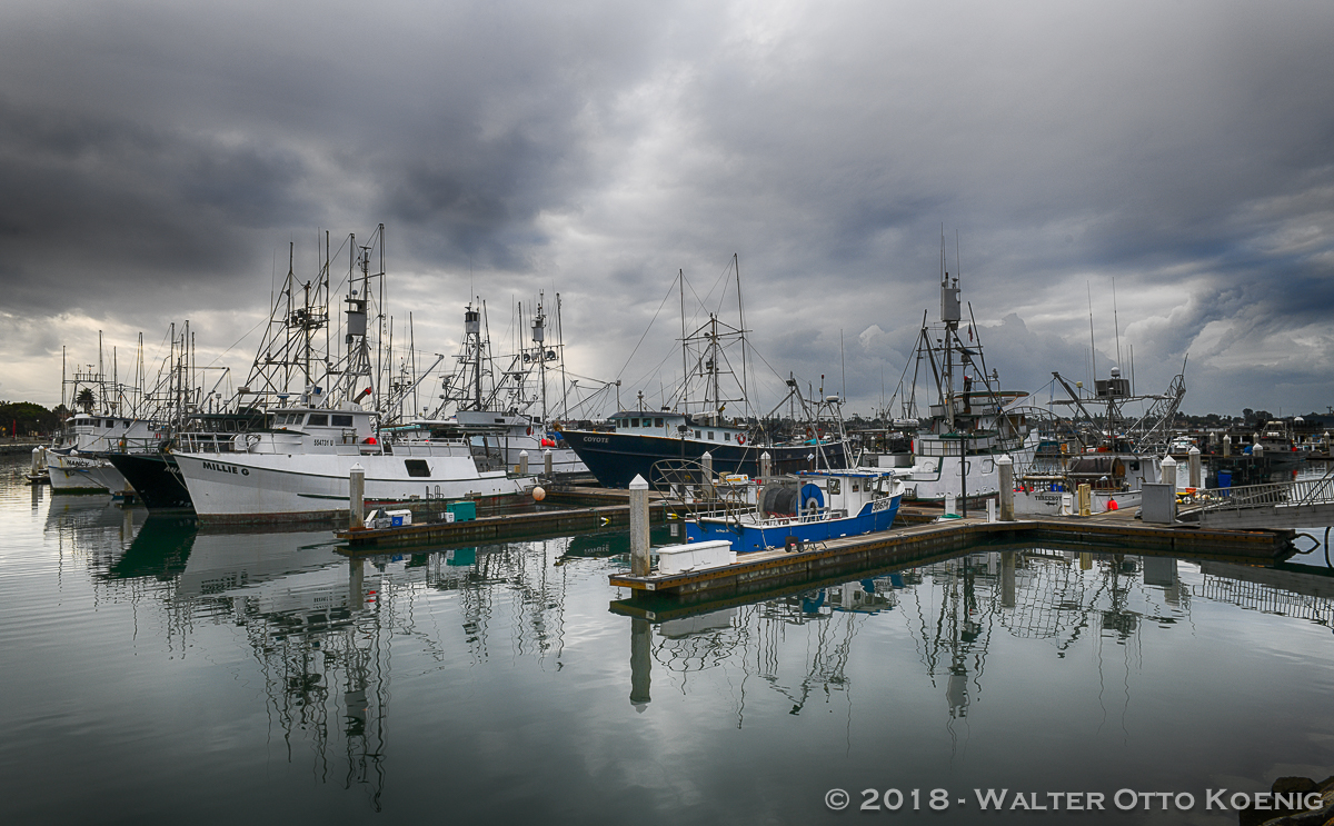 Morning at the Tuna Harbor