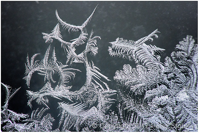 More fractal ice.