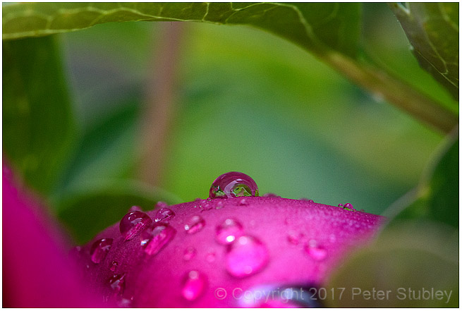 Secret drop.