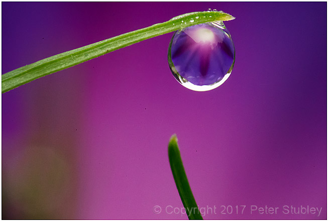 Reaching.