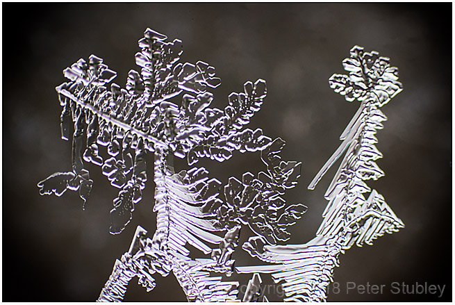 Micro fractal ice 4.