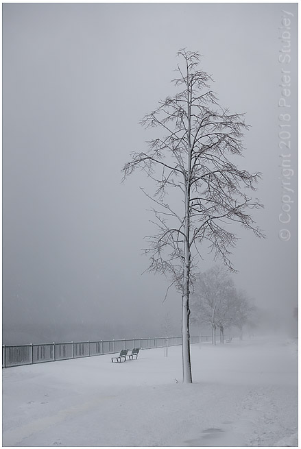 Blizzard by the Charles River, Boston.