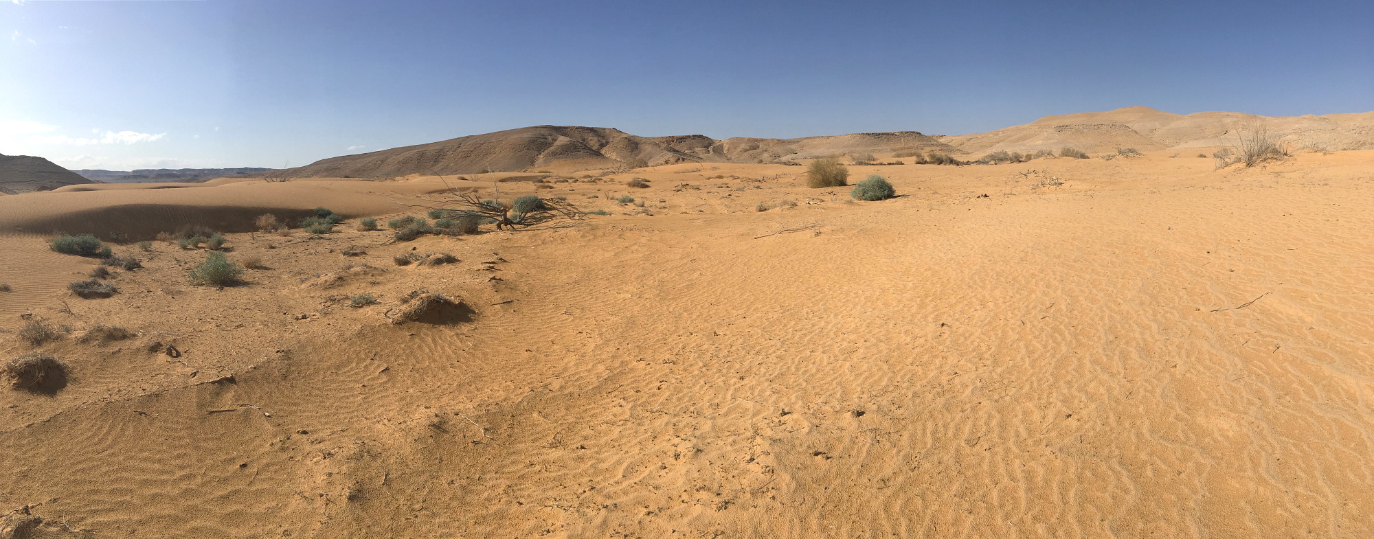 DPP_1655.JPG