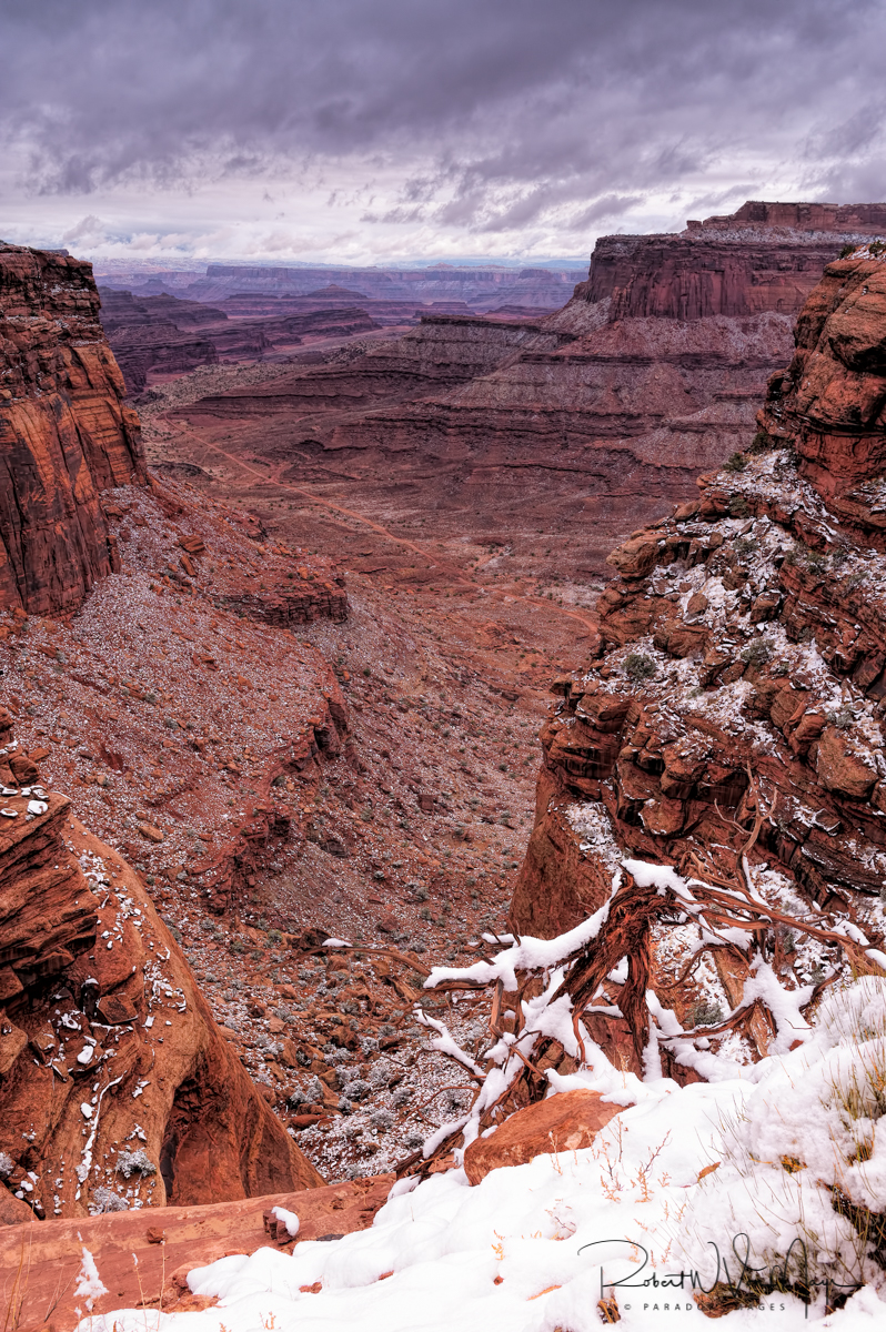 View down Shaffer Canyon - Canyonlands