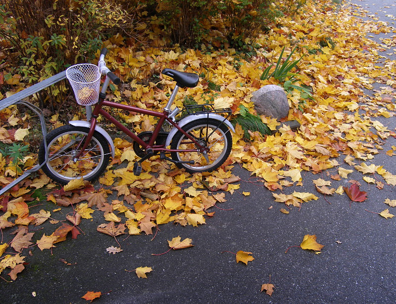 bicycle