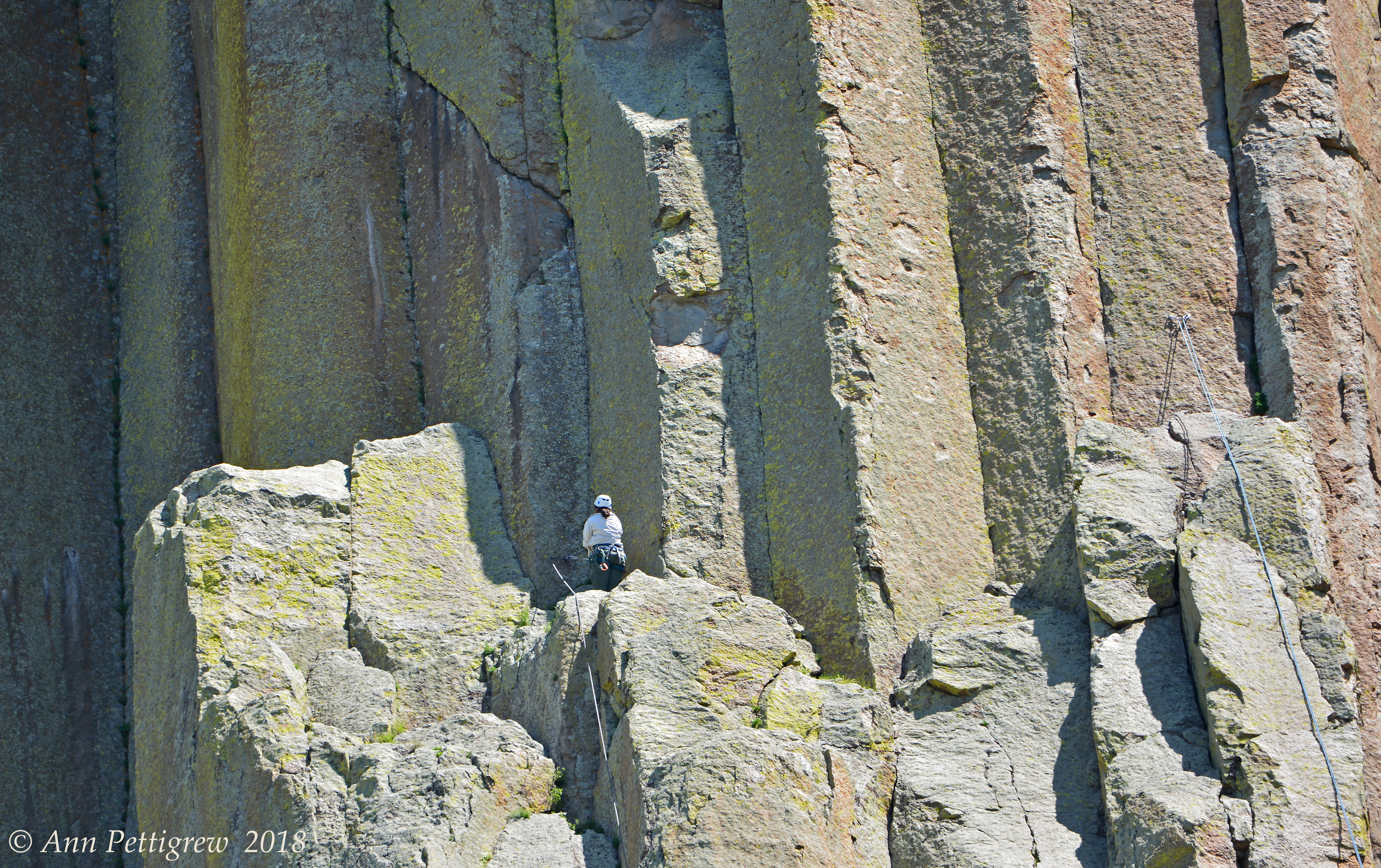 Climber on Devils Tower