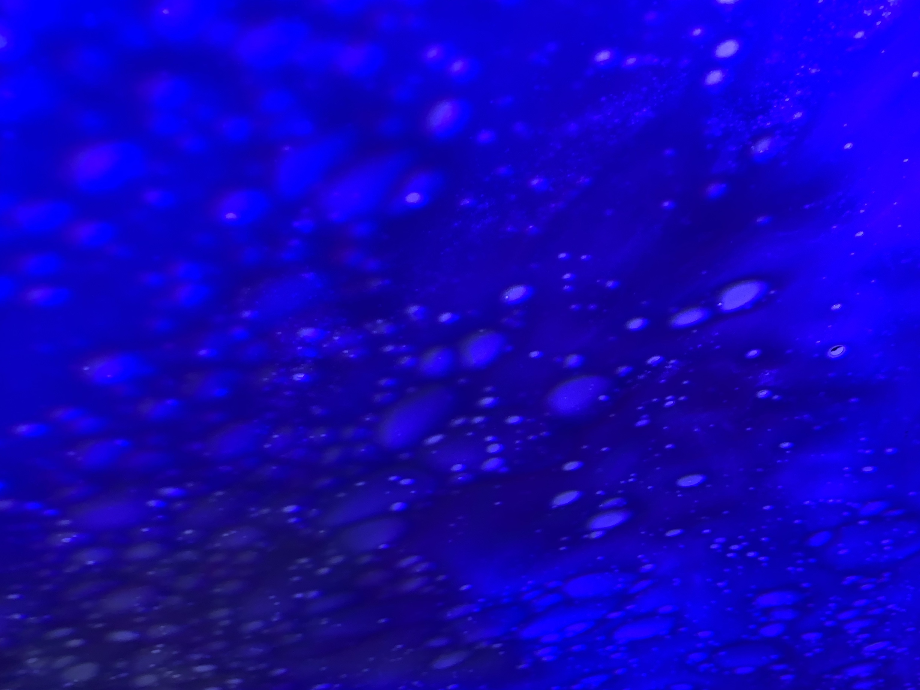 F24ECAF069E8420BB5A36FF6B040A8AE.jpeg