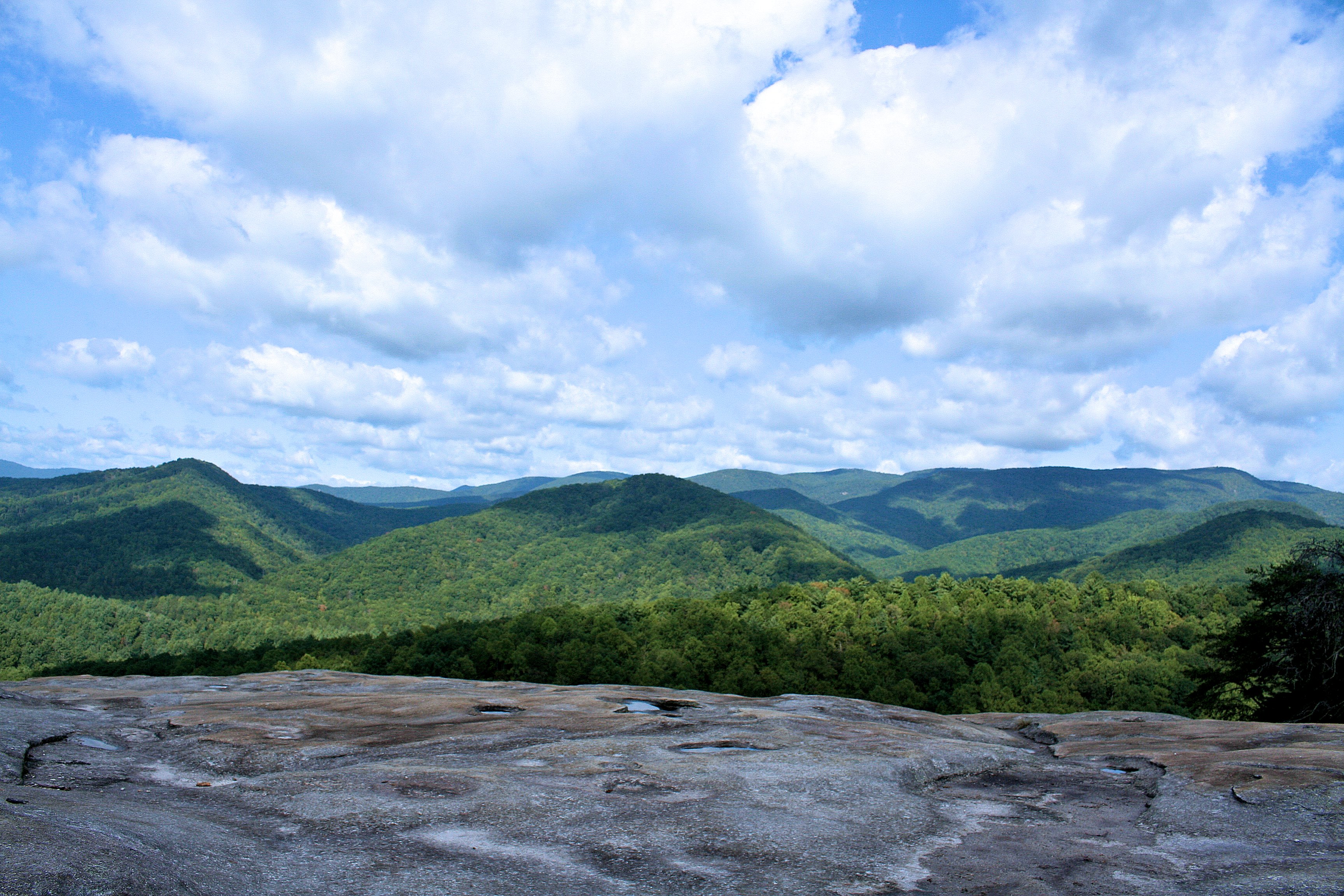 On Wolf At Rock Stone Mt. State Park NC
