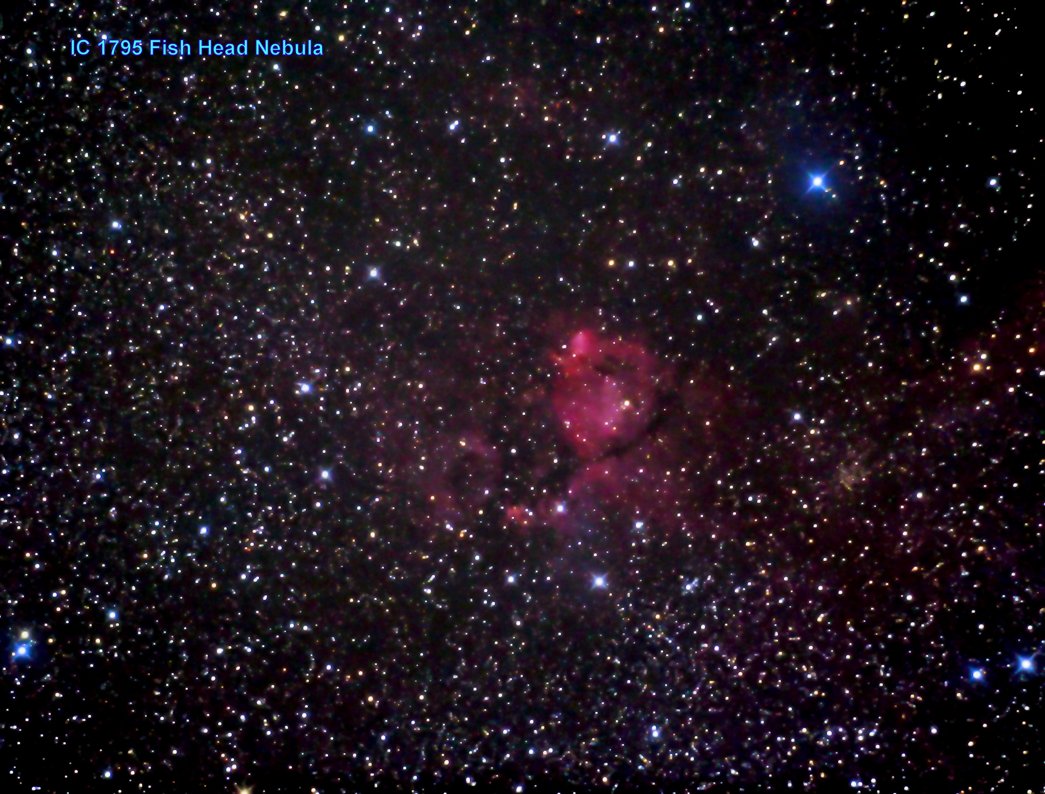 IC 1795 Fish Head Nebula
