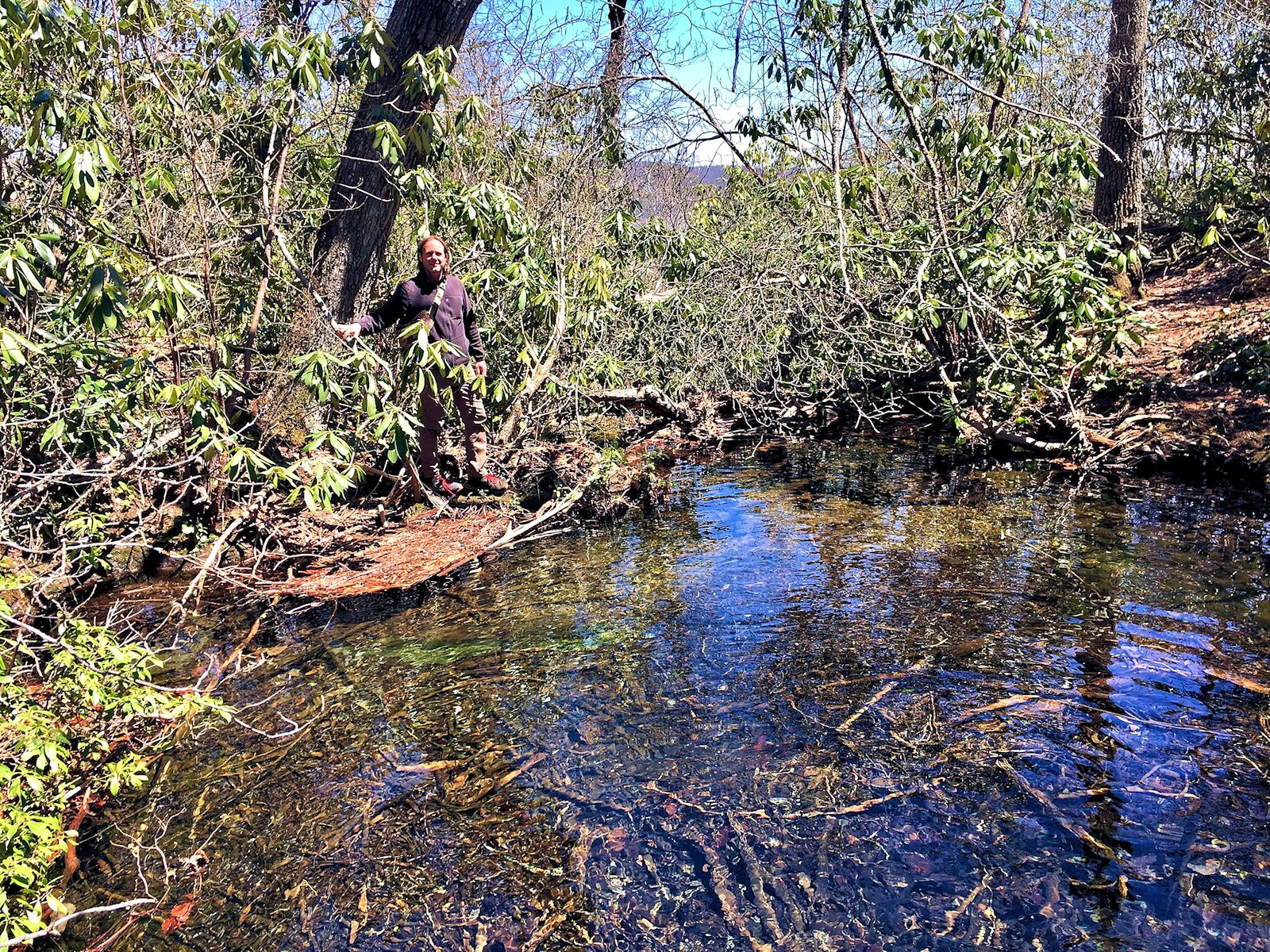 Little Pool at top of Falls