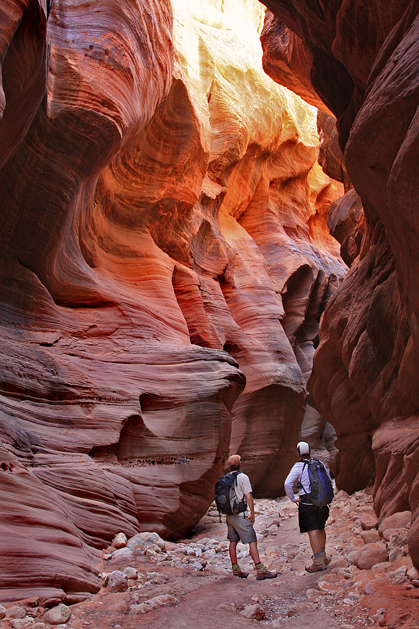 0058-IMG_9481-Buckskin Gulch Views.jpg