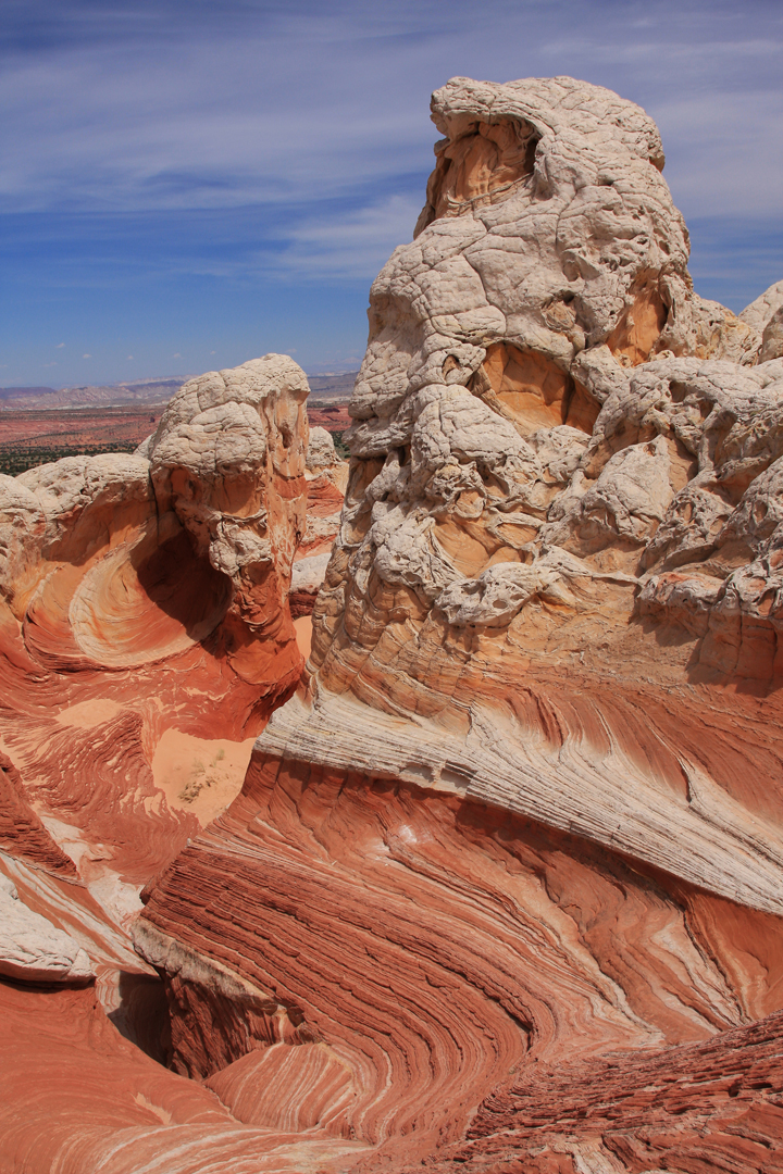 0064-IMG_0530-White Pocket Landscapes.jpg