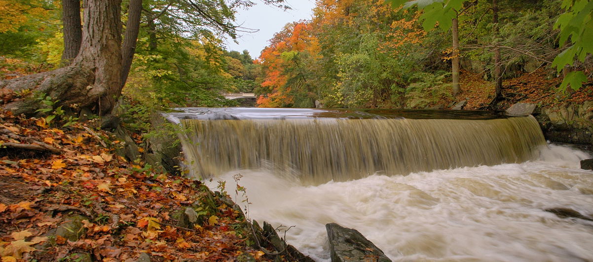 Grounds of the  Vanderbilt Mansion, Hyde Park, NY