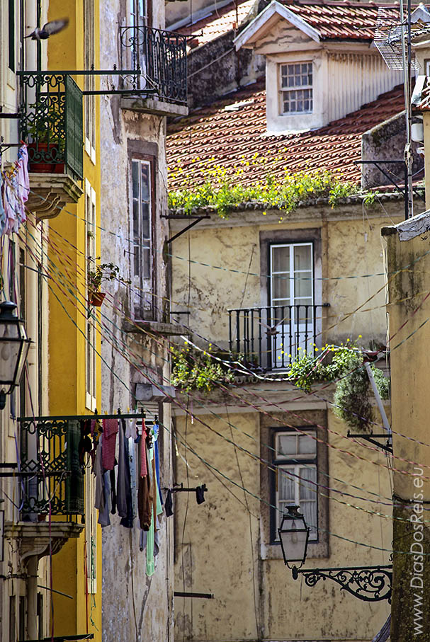 Janelas da Mouraria