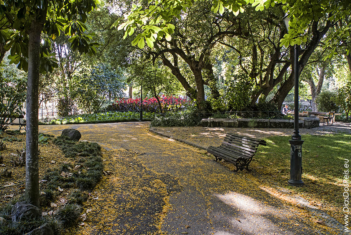 The Estrela Garden