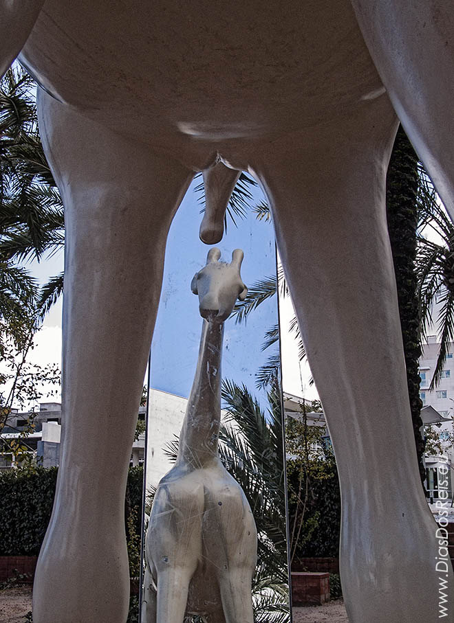 The Narcissus Giraffe