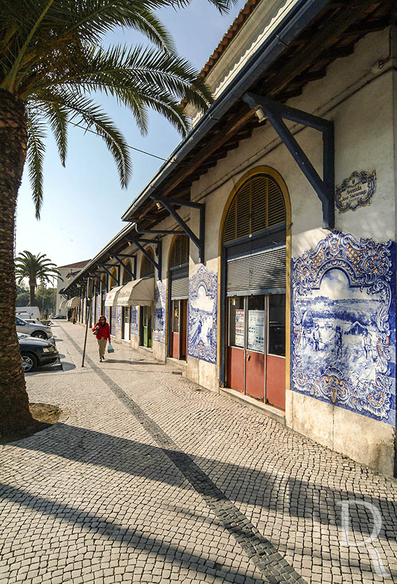 Mercado de Santarm (MIP)