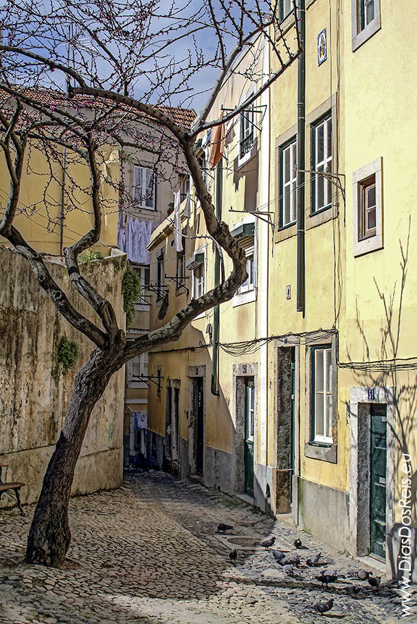 Mouraria