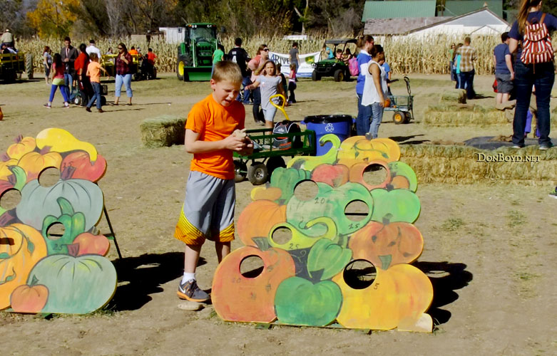 October 2016 - Kyler with the bean bag game at Dianas Pumpkin Patch and Corn Maize in Canon City,Colorado
