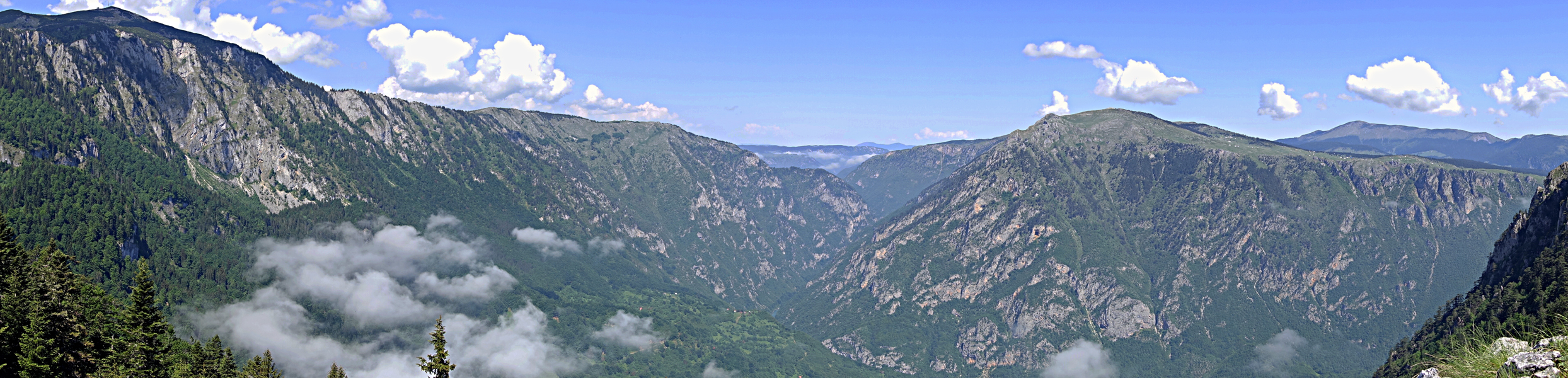 Panorama - Tara Canyon.