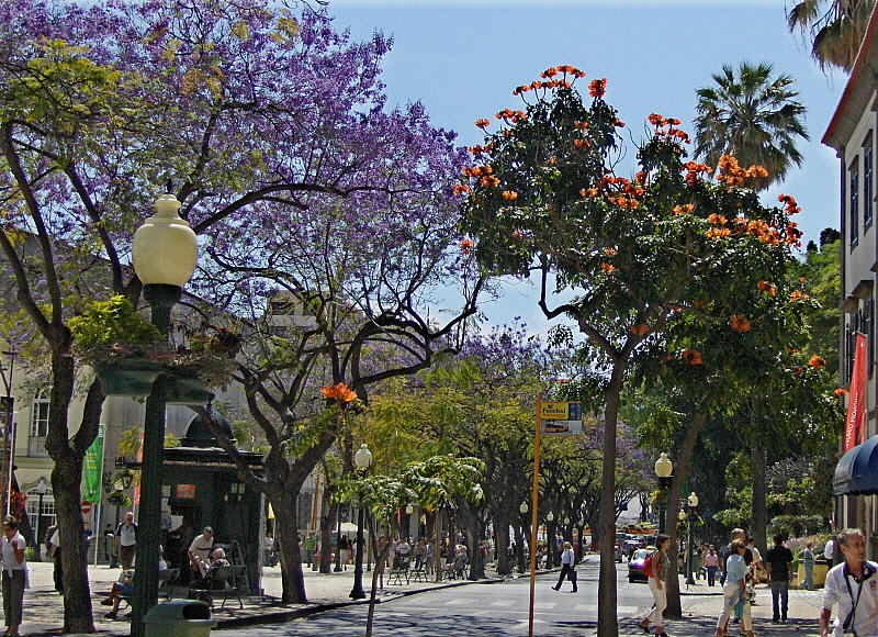 AVENIDA ARRIAGA 