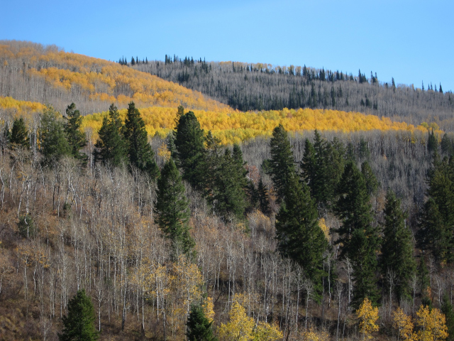 On the way to Telluride, CO (6317)