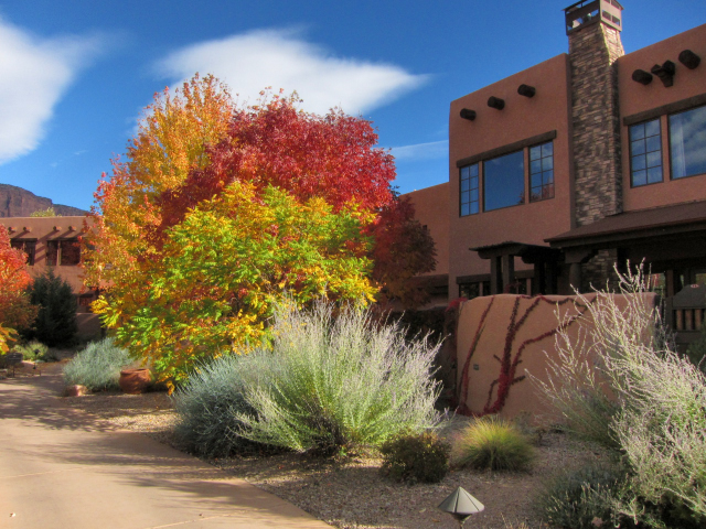 Gateway Canyons Resort in Gateway, CO (6581)