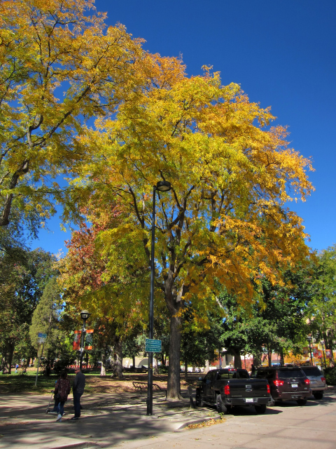 Boulder, CO (6739)