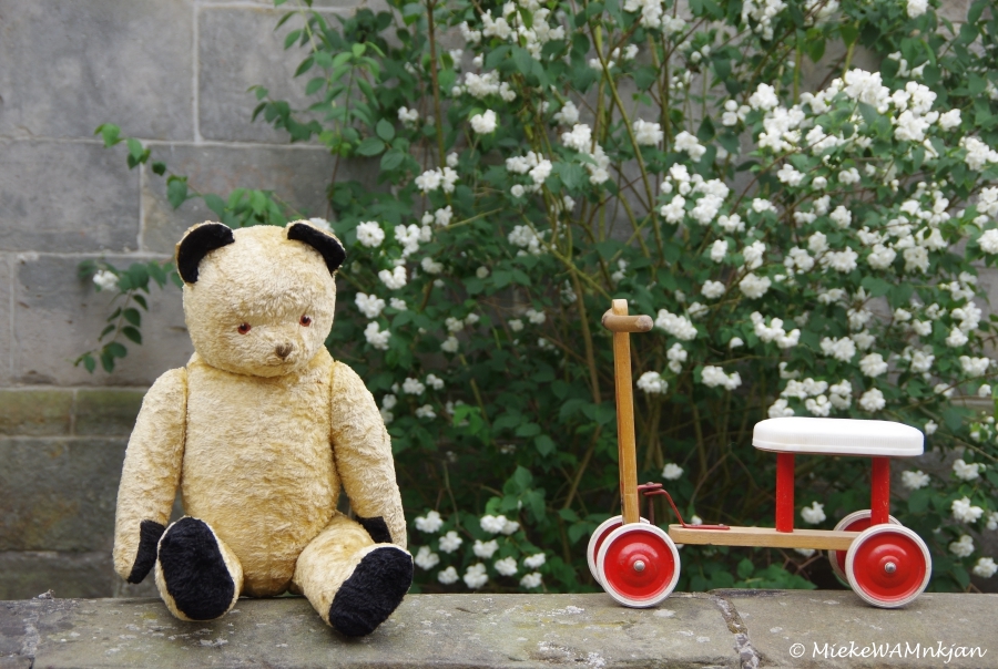 Teddy Bear