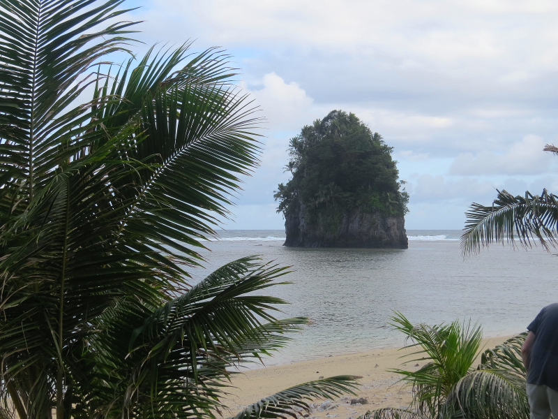Flowerpot island Samoa