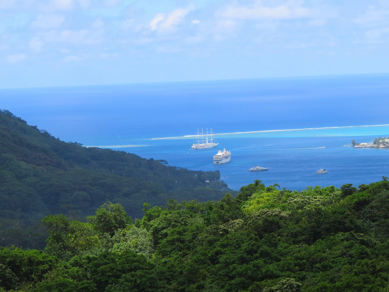 Cooks Bay