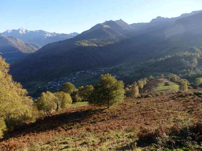 PA311229.JPG