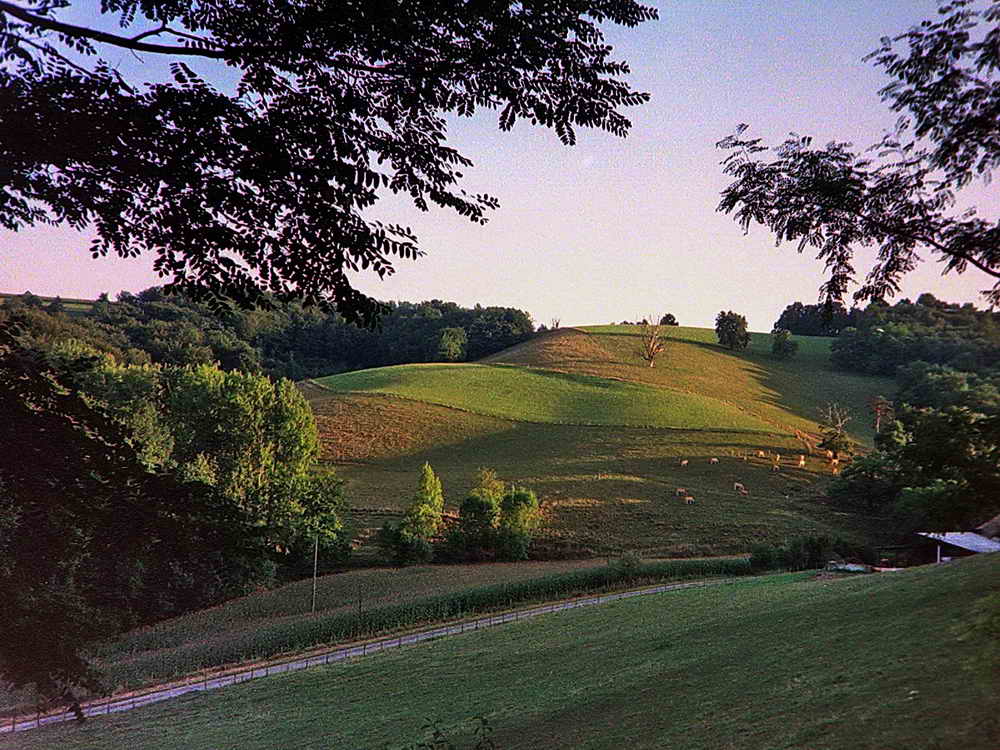 Harmonie du soir dans la campagne barnaise