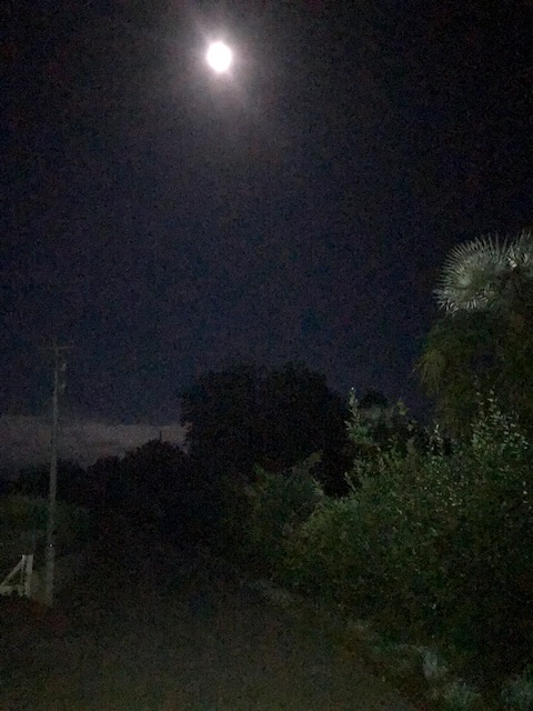 Clair de lune  la campagne