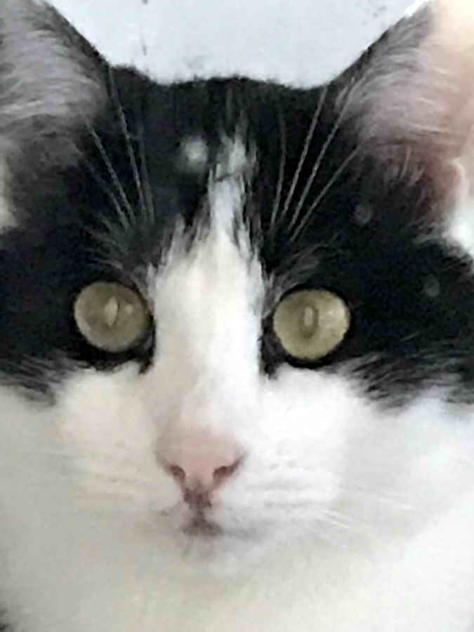 Autre regard - bizarre - de Gaspard