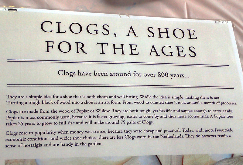 P4080326-clogs.jpg