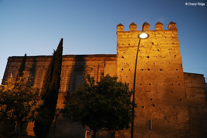 9972-alcazar-de-jerez.jpg