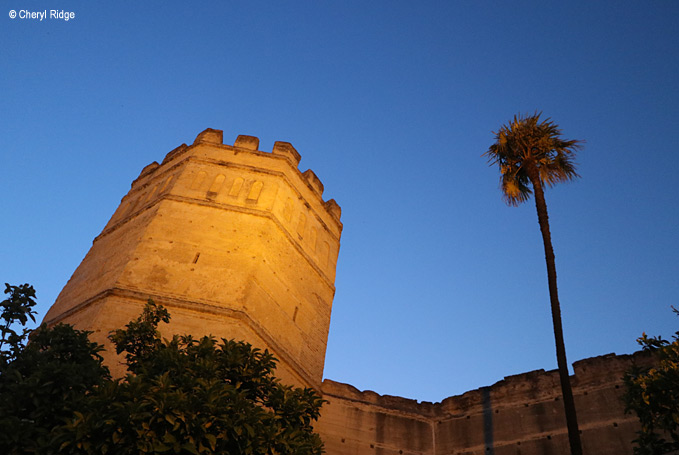 9974-alcazar-de-jerez.jpg