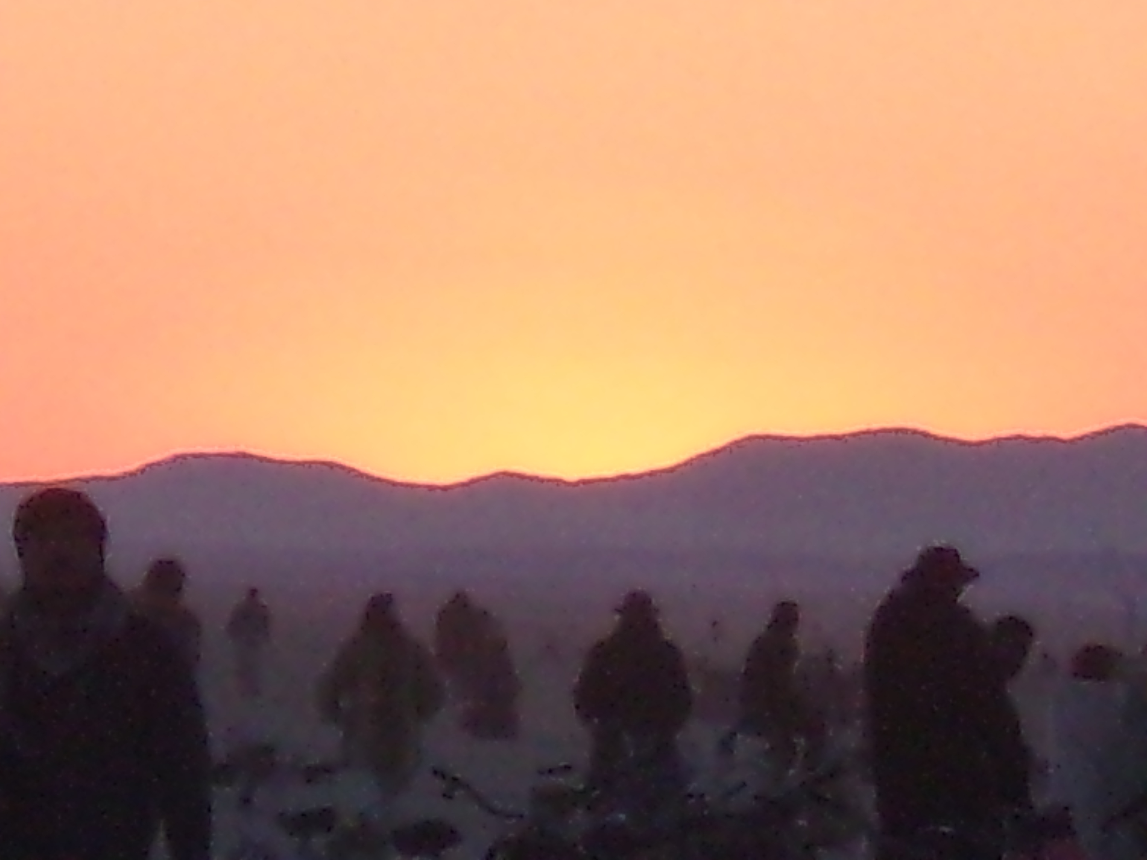 1808BurnMan-111.JPG
