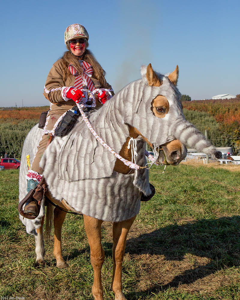 2nd Place Costume, Julie Brudie