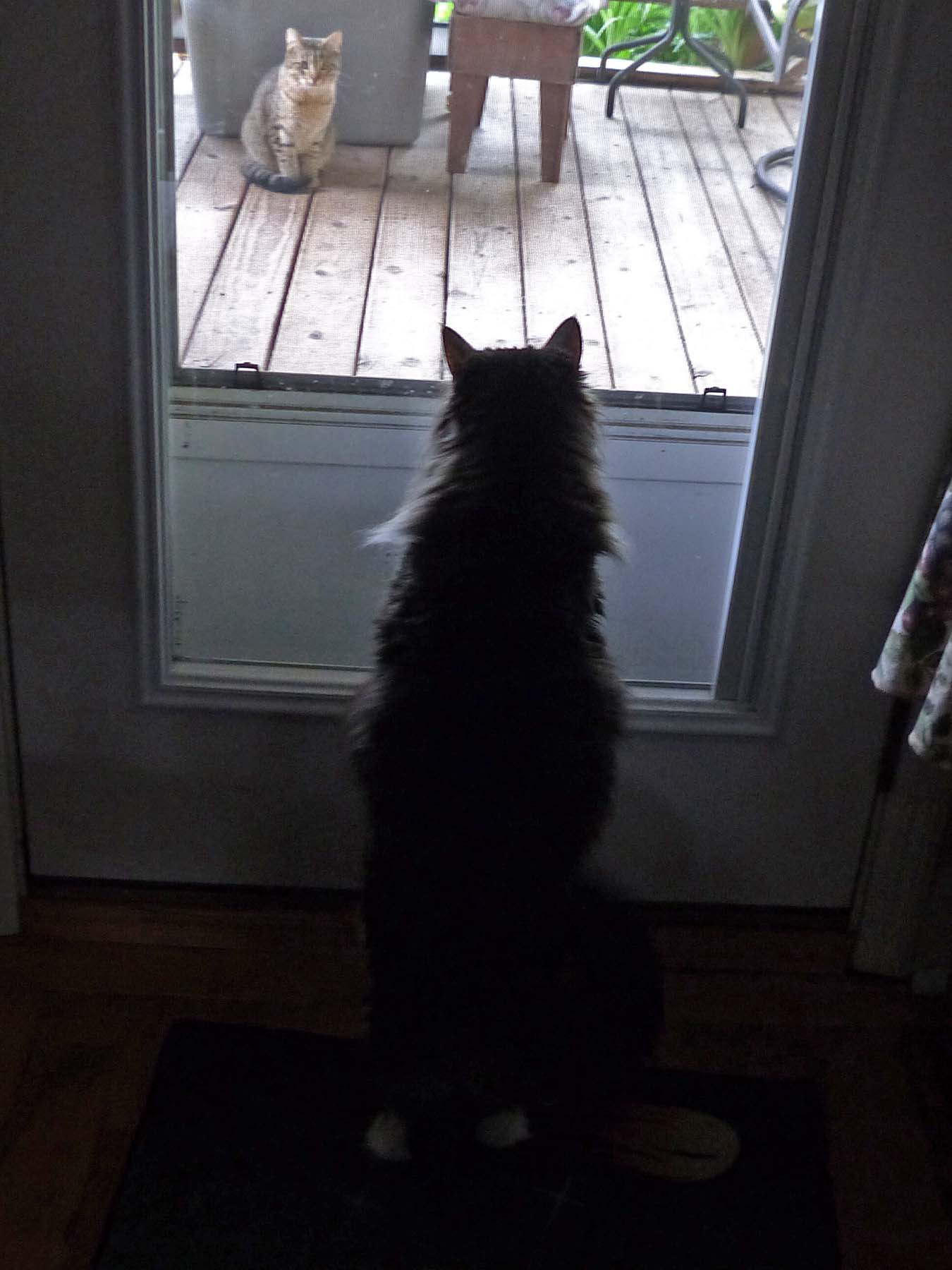 27 Apr Minnees new friend