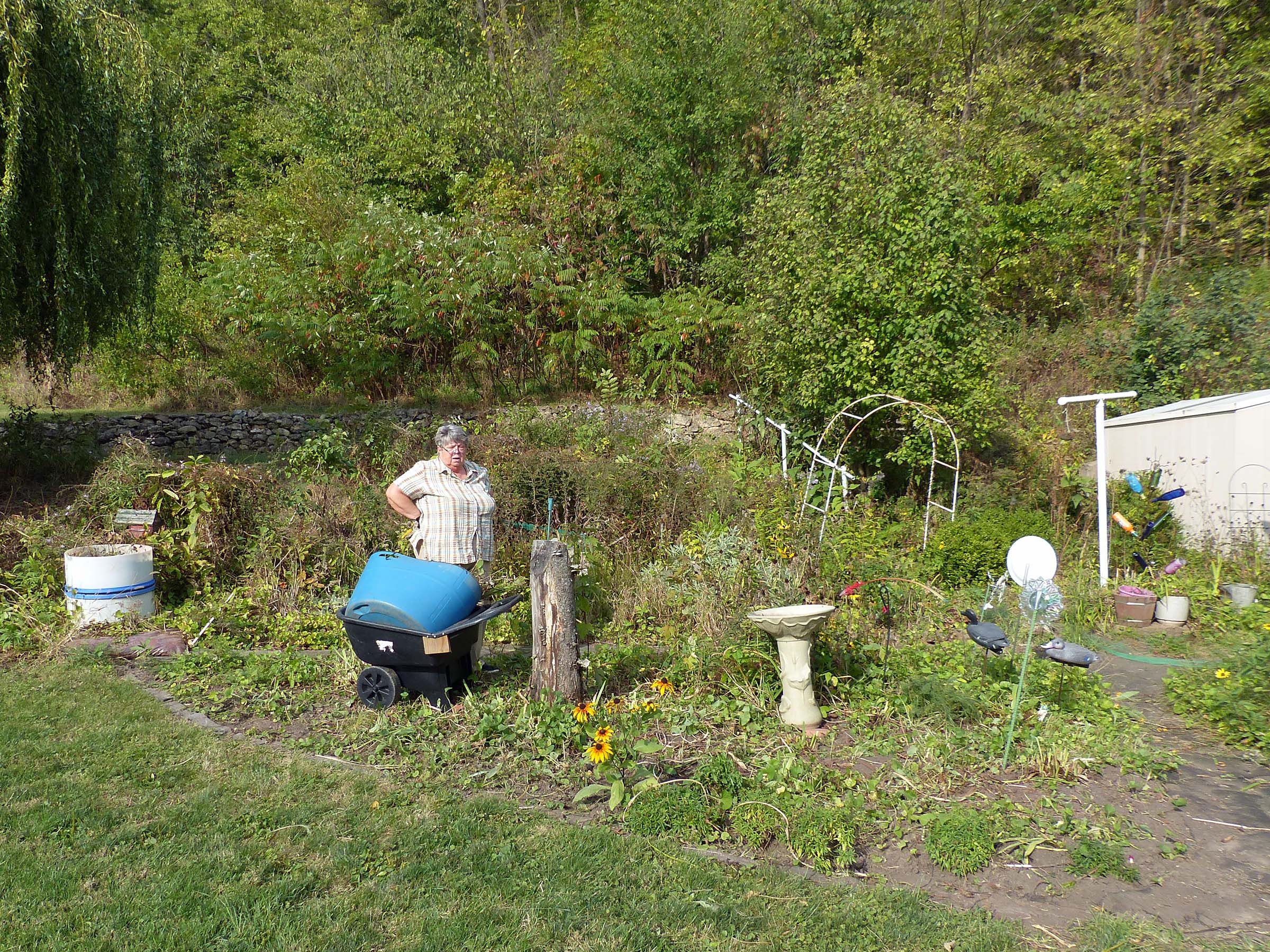 2 Oct Tree garden almost done.