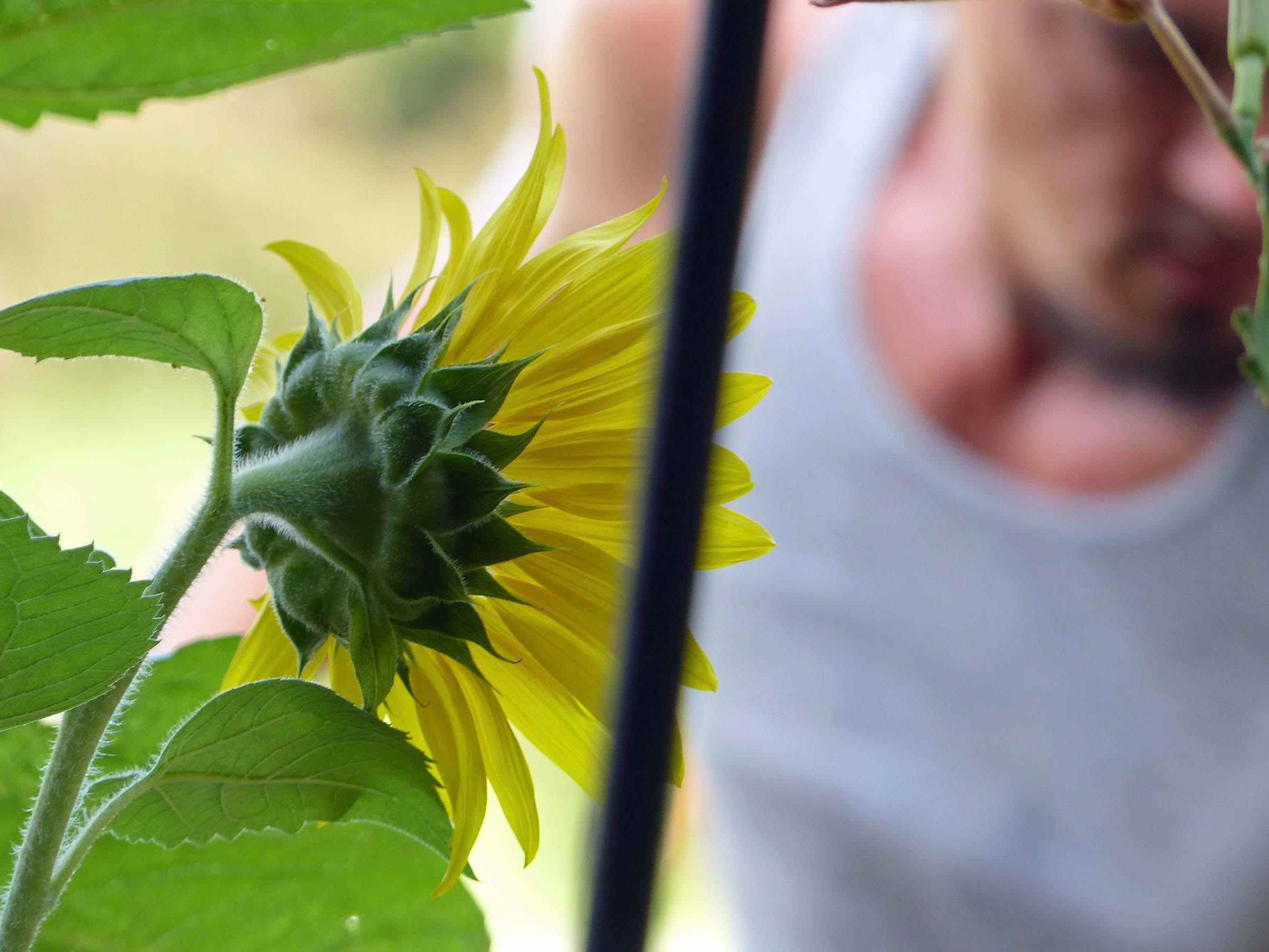 10 Jul Manual focus